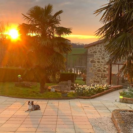 Bed and Breakfast La Basse Monniere Sevremont Esterno foto