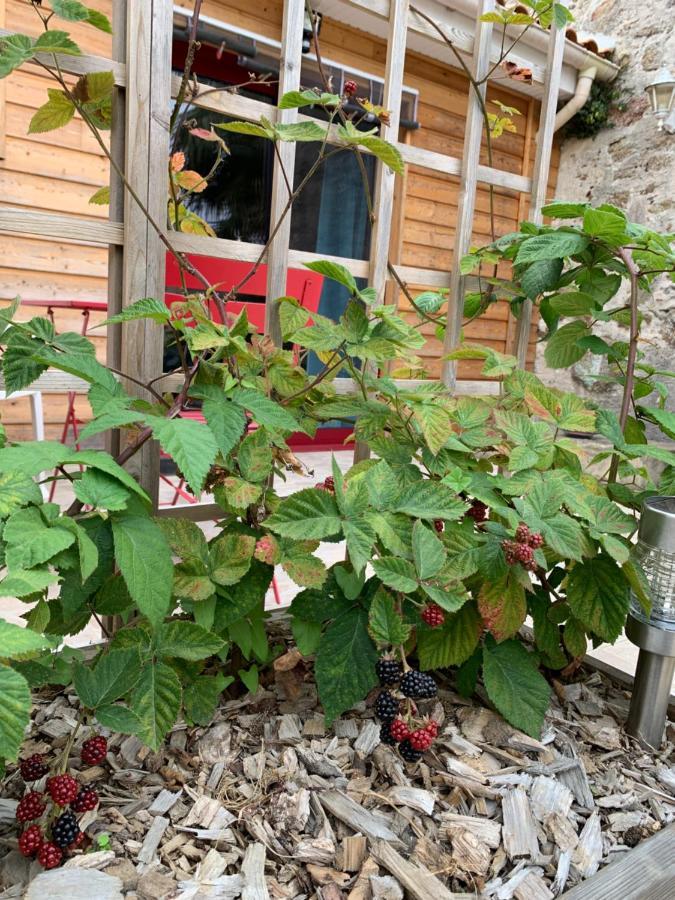 Bed and Breakfast La Basse Monniere Sevremont Esterno foto