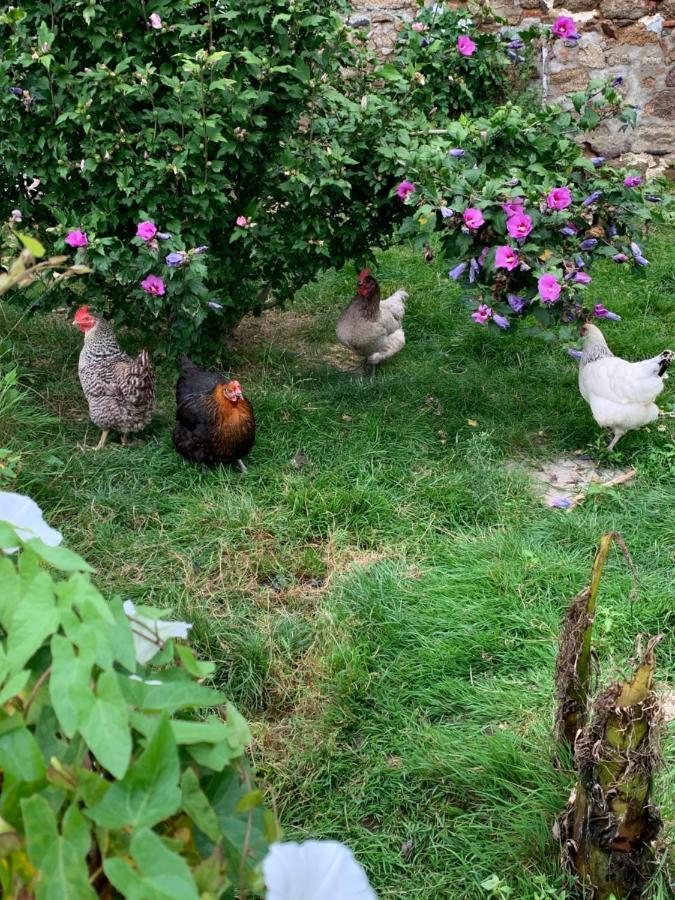 Bed and Breakfast La Basse Monniere Sevremont Esterno foto