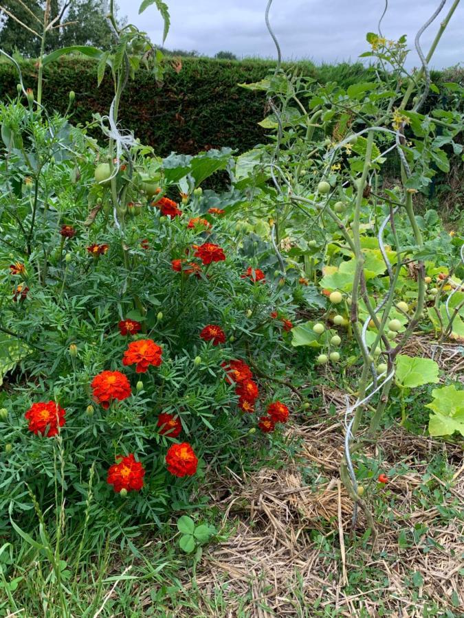 Bed and Breakfast La Basse Monniere Sevremont Esterno foto