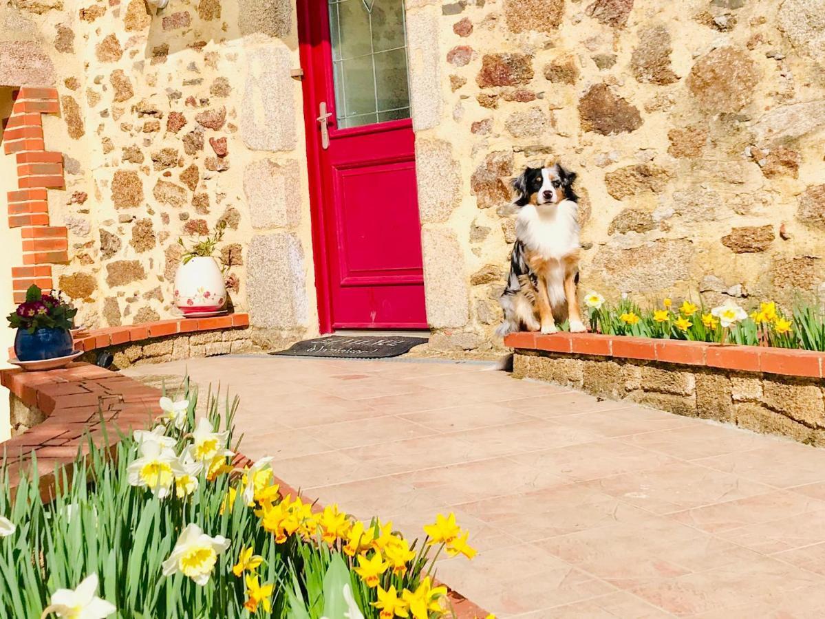 Bed and Breakfast La Basse Monniere Sevremont Esterno foto